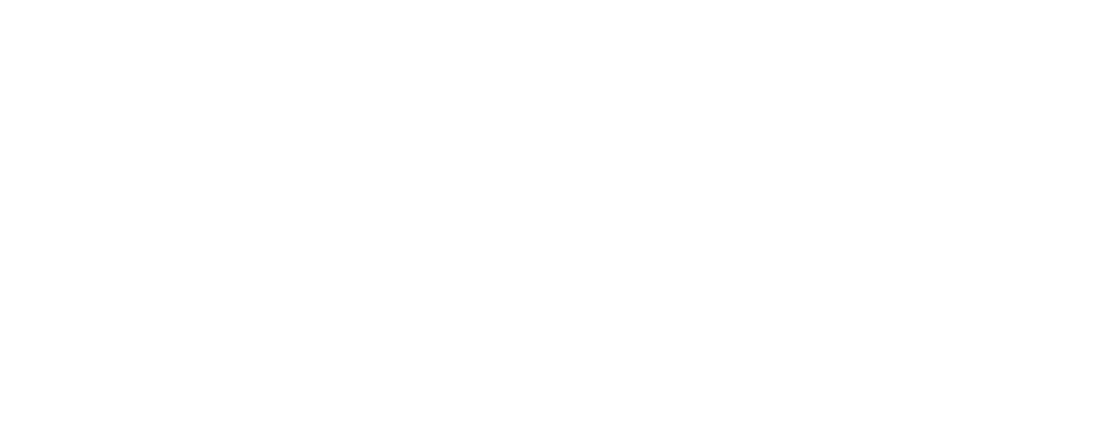Balans računovodstvo
